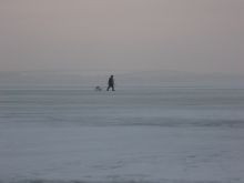 Пленники серой мглы