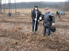 Черкасские налоговики продолжают садить лес