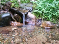 Анализ воды из скважины