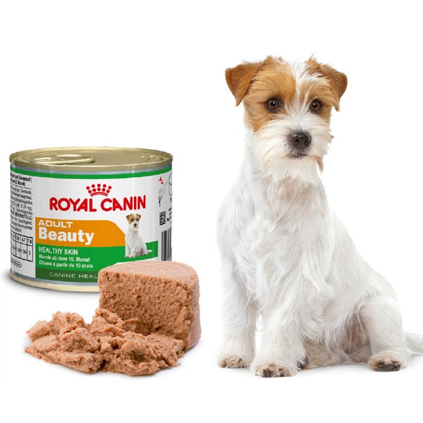 royal canin