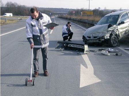 проведение экспертизы