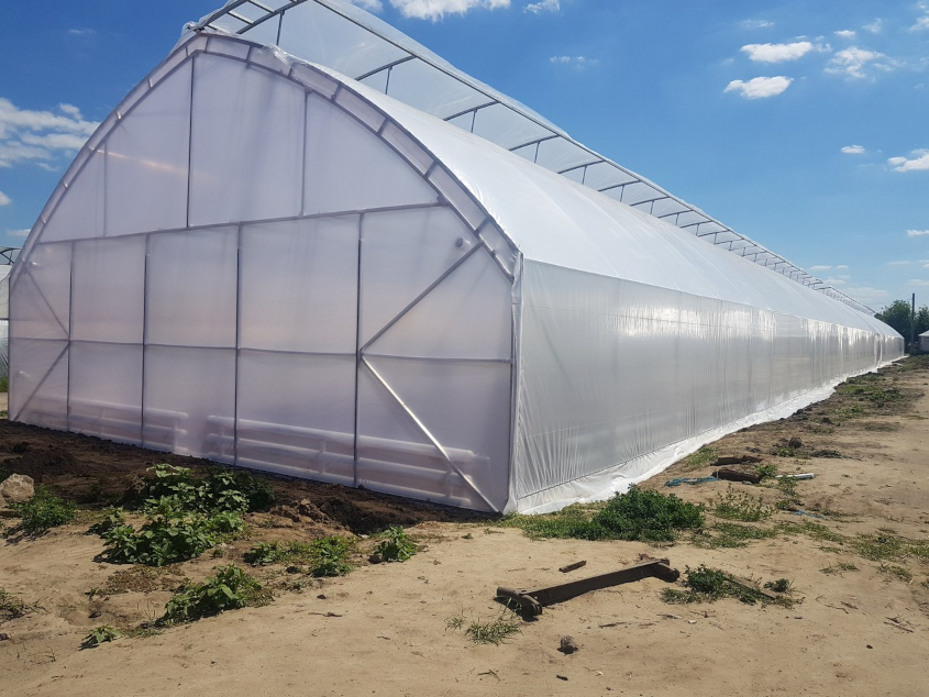 проветривание теплицы