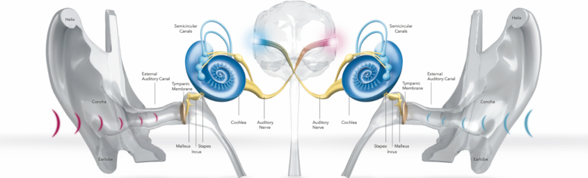 Слухові апарати в Києві — підбираємо, обираємо та купуємо з розумом